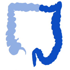 Logo Semi-Colon